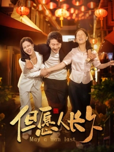 短剧但愿人长久海报