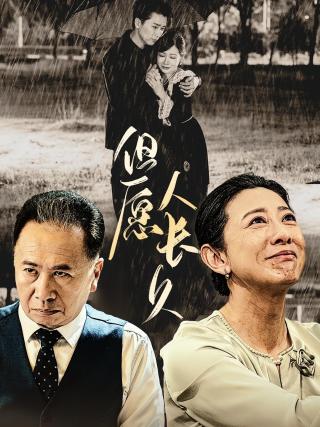 短剧但愿人长久海报