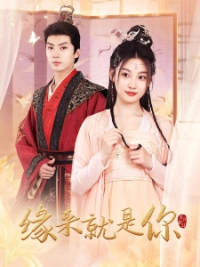 短剧缘来就是你海报