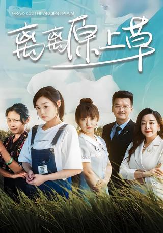 短剧离离原上草海报