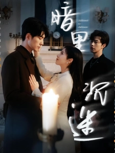 短剧暗里沉迷海报