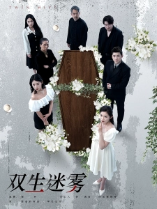 短剧双生迷雾海报