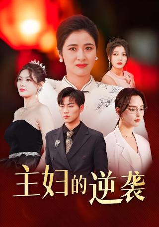 短剧主妇的逆袭海报