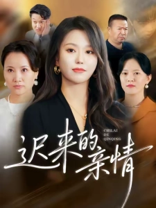 短剧迟来的亲情海报