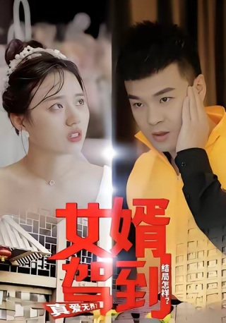 短剧女婿驾到海报