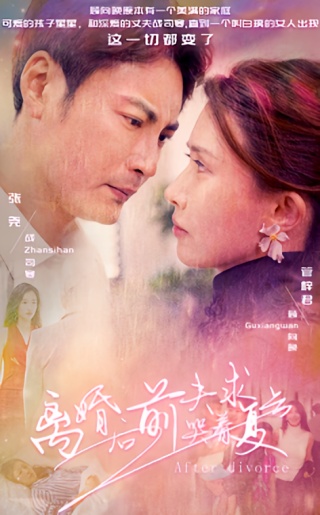 短剧离婚后前夫哭着求复合海报