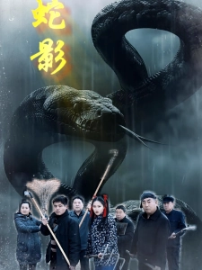短剧蛇影海报