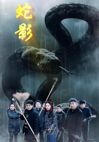 短剧蛇影海报