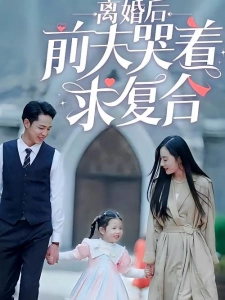 短剧离婚后前夫哭着求复合海报