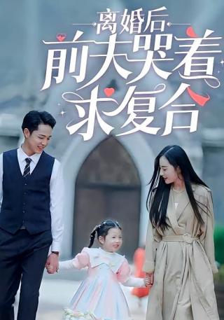 短剧离婚后前夫哭着求复合海报