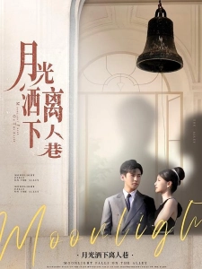 短剧月光洒下离人巷海报