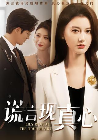 短剧谎言现真心海报