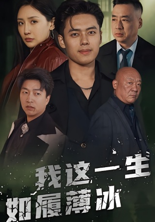 短剧我这一生如履薄冰海报