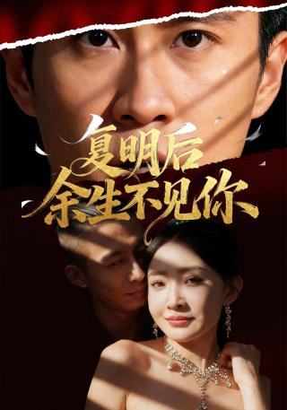 短剧复明后余生不见你海报