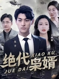 短剧绝代枭婿海报