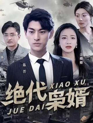 短剧绝代枭婿海报