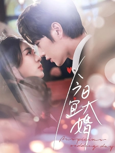 短剧今日宜大婚海报