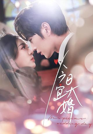 短剧今日宜大婚海报