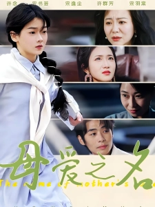 短剧母爱之名海报