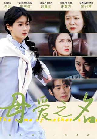 短剧母爱之名海报