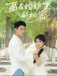 短剧藏在婚纱里的秘密海报