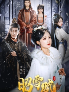 短剧昭雪赋海报