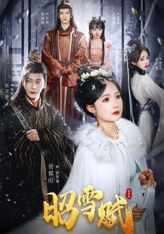 短剧昭雪赋海报