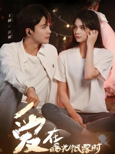 短剧爱在曙光微露时海报