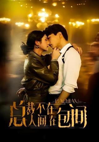 短剧总裁不在人间在包间海报