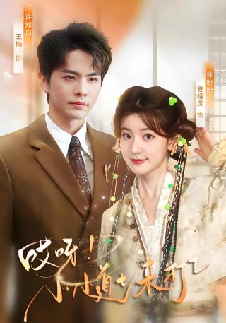 短剧哎呀！小小道士来打工海报