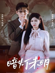 短剧暗灯未明海报