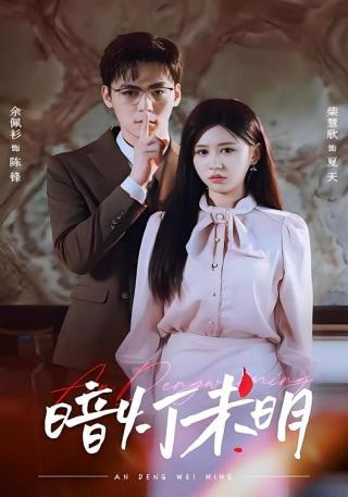 短剧暗灯未明海报