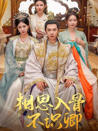 短剧相思入骨不识卿海报