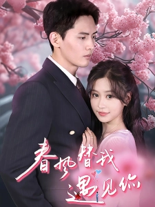 短剧春风替我遇见你海报