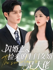 短剧闪婚之捡来的上门女婿是大佬海报