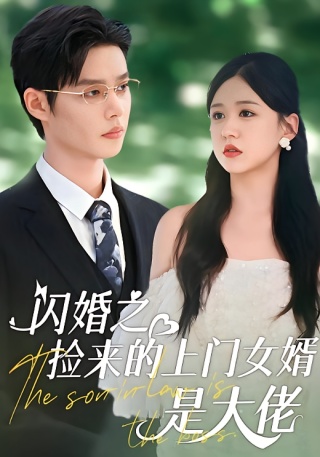 短剧闪婚之捡来的上门女婿是大佬海报