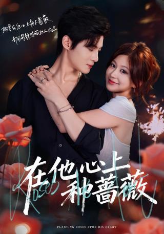 短剧在他心上种蔷薇海报