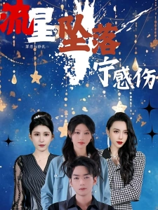 短剧流星坠落宁感伤海报