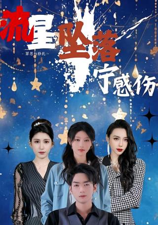 短剧流星坠落宁感伤海报