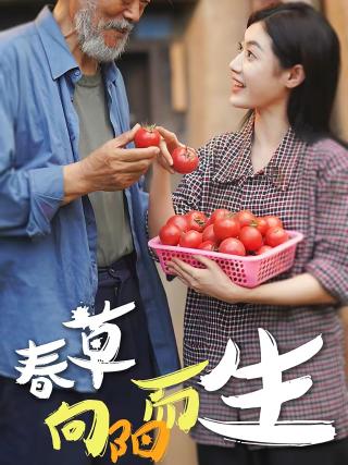短剧春草向阳而生海报