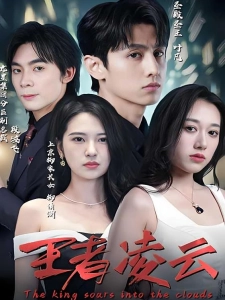 短剧王者凌云海报