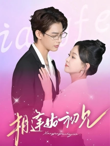 短剧相逢如初见海报