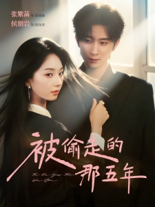 短剧被偷走的那五年海报