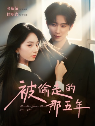 短剧被偷走的那五年海报