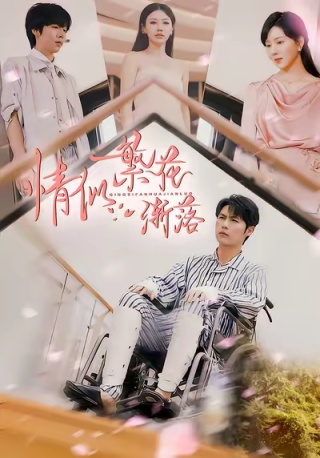 短剧情似繁花渐落海报