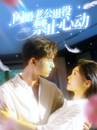 短剧闪婚老公退役禁止心动海报
