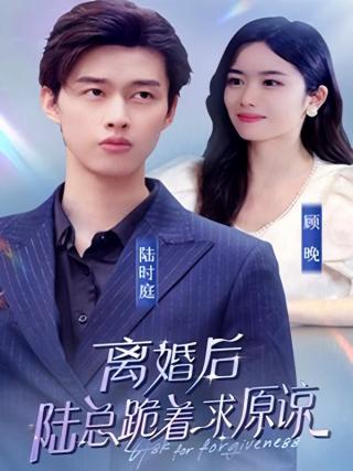 短剧离婚后，陆总跪着求原谅海报