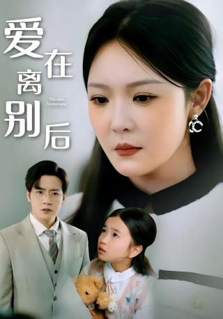 短剧爱在离别后海报