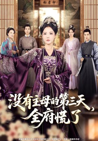 短剧没有主母的第三天，全府慌了海报