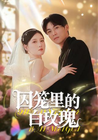 短剧囚笼里的白玫瑰海报